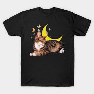 most likely to take a nap Sticker T-Shirt